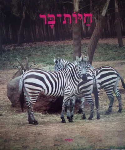 חיות בר - פאזל