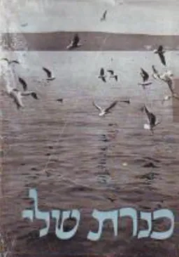 כנרת שלי