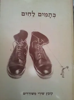 עטיפת הספר כתמים לחים  מאת 