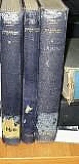 זכרונות המושל סר רונאלד מסטורס 