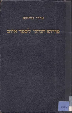 פירוש הגיוני לספר איוב על יסוד המסורה