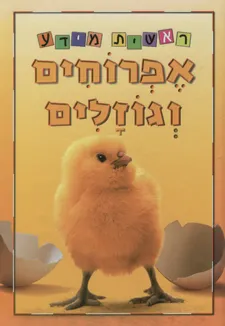 עטיפת הספר אפרוחים וגוזלים - סדרת ראשית מידע מאת 