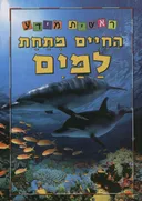 החיים מתחת למים