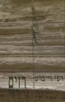 רזים