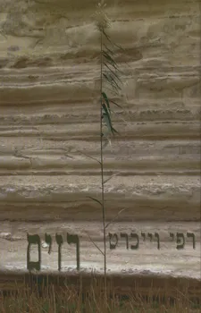 עטיפת הספר רזים מאת רפי וייכרט
