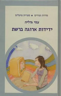 עטיפת הספר ידידות ארוגה ברשת מאת עמי גדליה