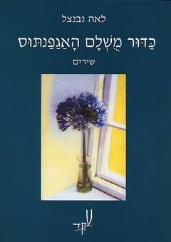 כדור מושלם האגפנתוס