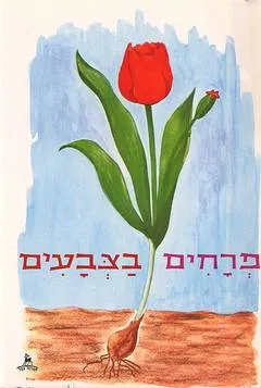 פרחים בצבעים
