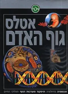 אטלס גוף האדם