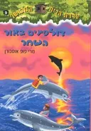 דולפינים באור השחר