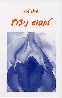 לתפוש ניצוץ : סיפורים