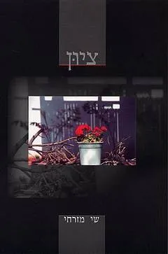 ציון