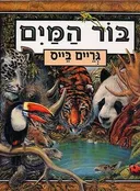 בור המים