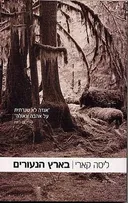 בארץ הנעורים