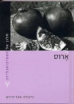 חלון אל הפסיכואנליזה