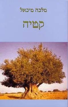 קטיה