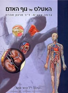 האטלס של גוף האדם