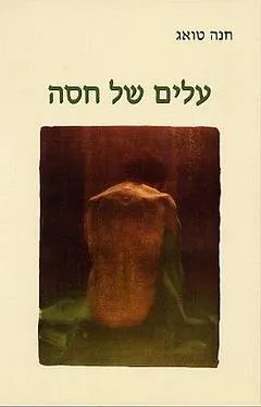 עלים של חסה