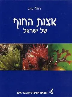 אצות החוף של ישראל