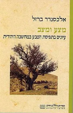 מצע ומצב