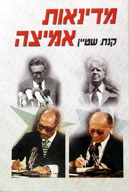 עטיפת הספר מדינאות אמיצה מאת קנת שטיין