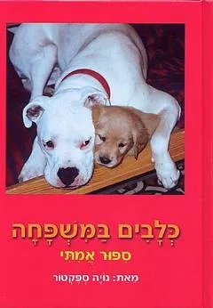 כלבים במשפחה