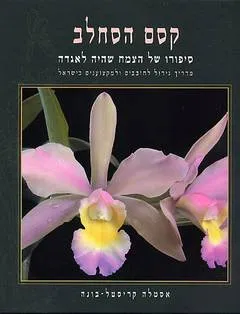 קסם הסחלב