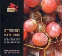הליקון 56: רשות היחיד יא'