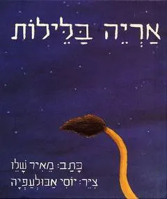 עטיפת אריה בלילות