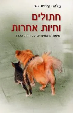 חתולים וחיות אחרות