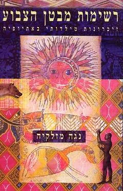 רשימות מבטן הצבוע