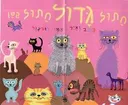 חתול גדול חתול קטן - קרטון