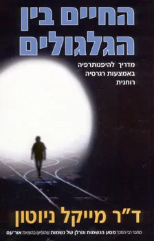 החיים בין הגלגולים