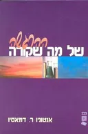 ההרגשה של מה שקורה