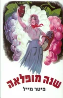 שנה מופלאה