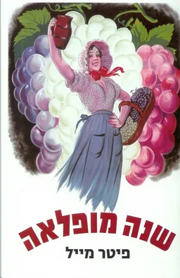שנה מופלאה