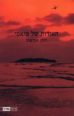 האורות של מיאמי