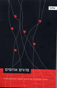 פרגים אדומים