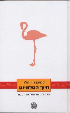 חיוך הפלמינגו