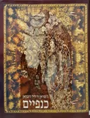 כנפיים