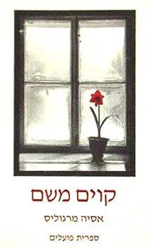 קווים משם