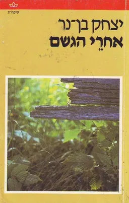 אחרי הגשם
