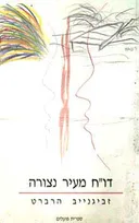 דו''ח מעיר נצורה