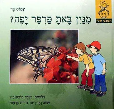 מנין באת פרפר יפה?