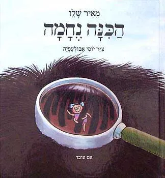 הכנה נחמה