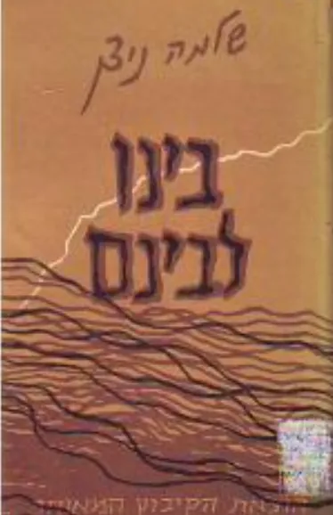 בינו לבינם : רומאן