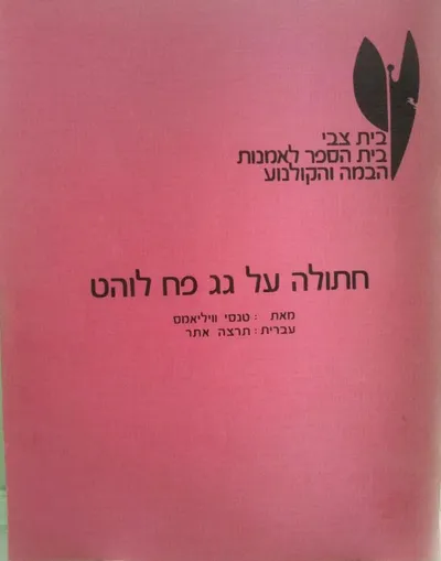 חתולה על גג פח לוהט