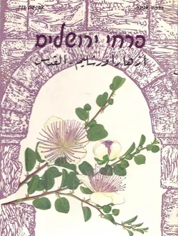 פרחי ירושלים