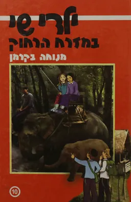 ילדי שי במזרח הרחוק