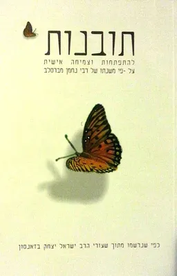 תובנות להתפתחות וצמיחה אישית